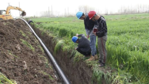 Installation of underground PE pipes for agricultural irrigation on a farm